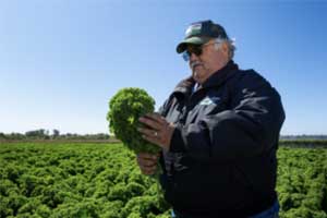 Farmer holding produce in field