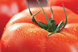 beefsteak tomato