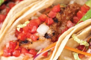 rock cod tacos
